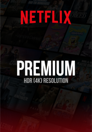 Netflix Premium Plan 1 Month