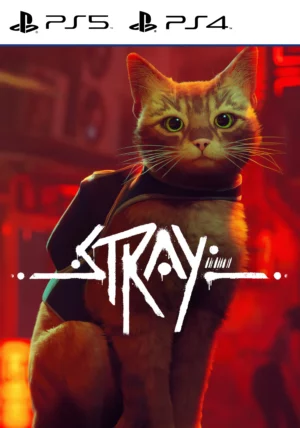 Stray