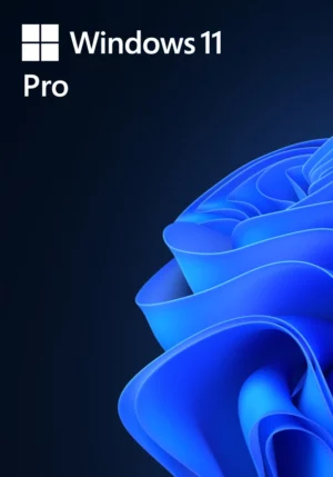 Windows 11 Pro Global